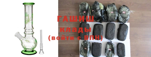 стаф Алзамай