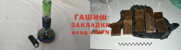 стаф Алзамай