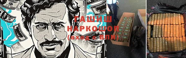 стаф Алзамай