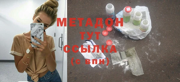 стаф Алзамай